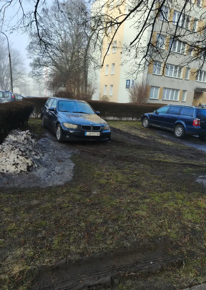 Widać, że lubi taplać się w błocie. Szkoda, że kosztem trawnika na osiedlu...