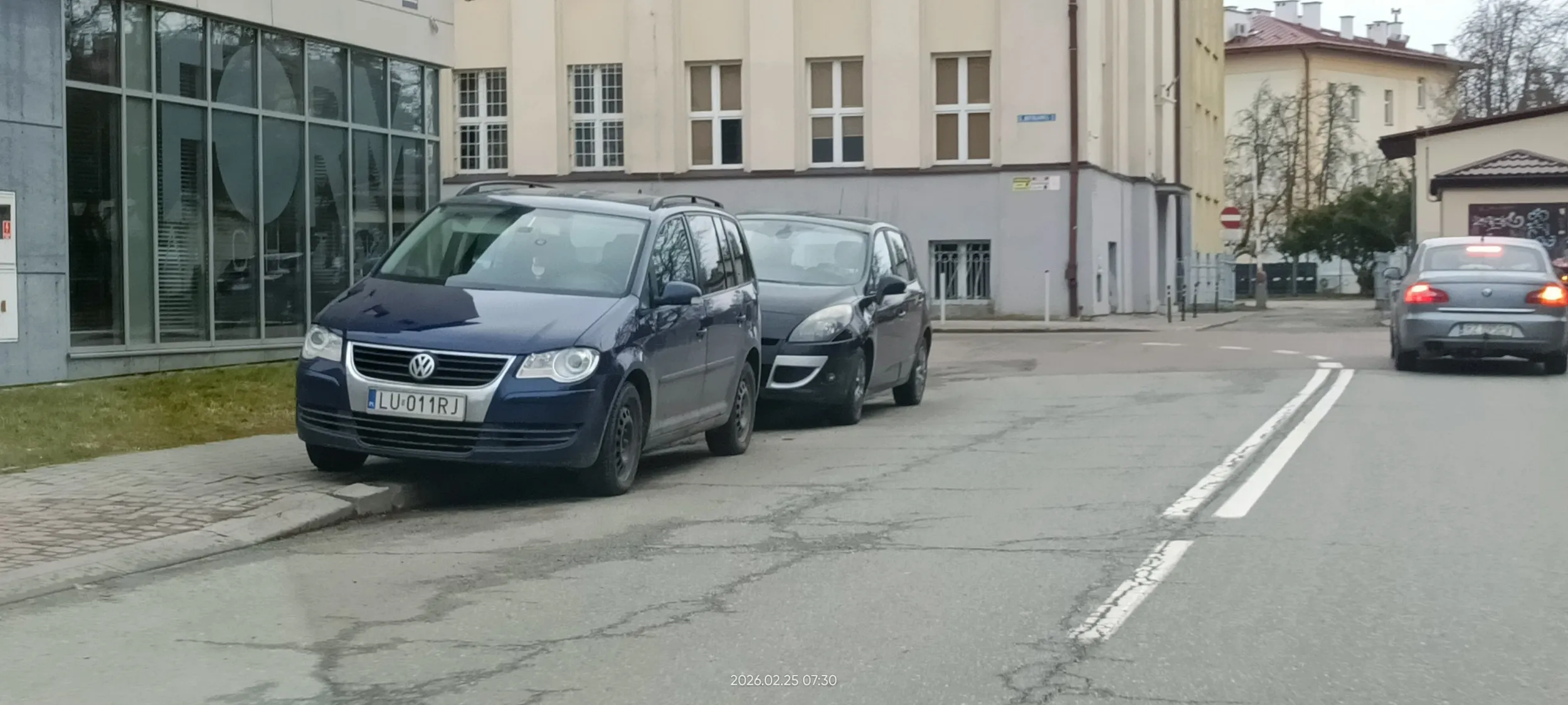 Święta krowa chodnikowa.