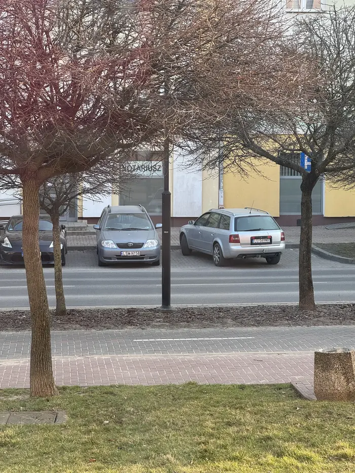 Mistrz parkowania ….