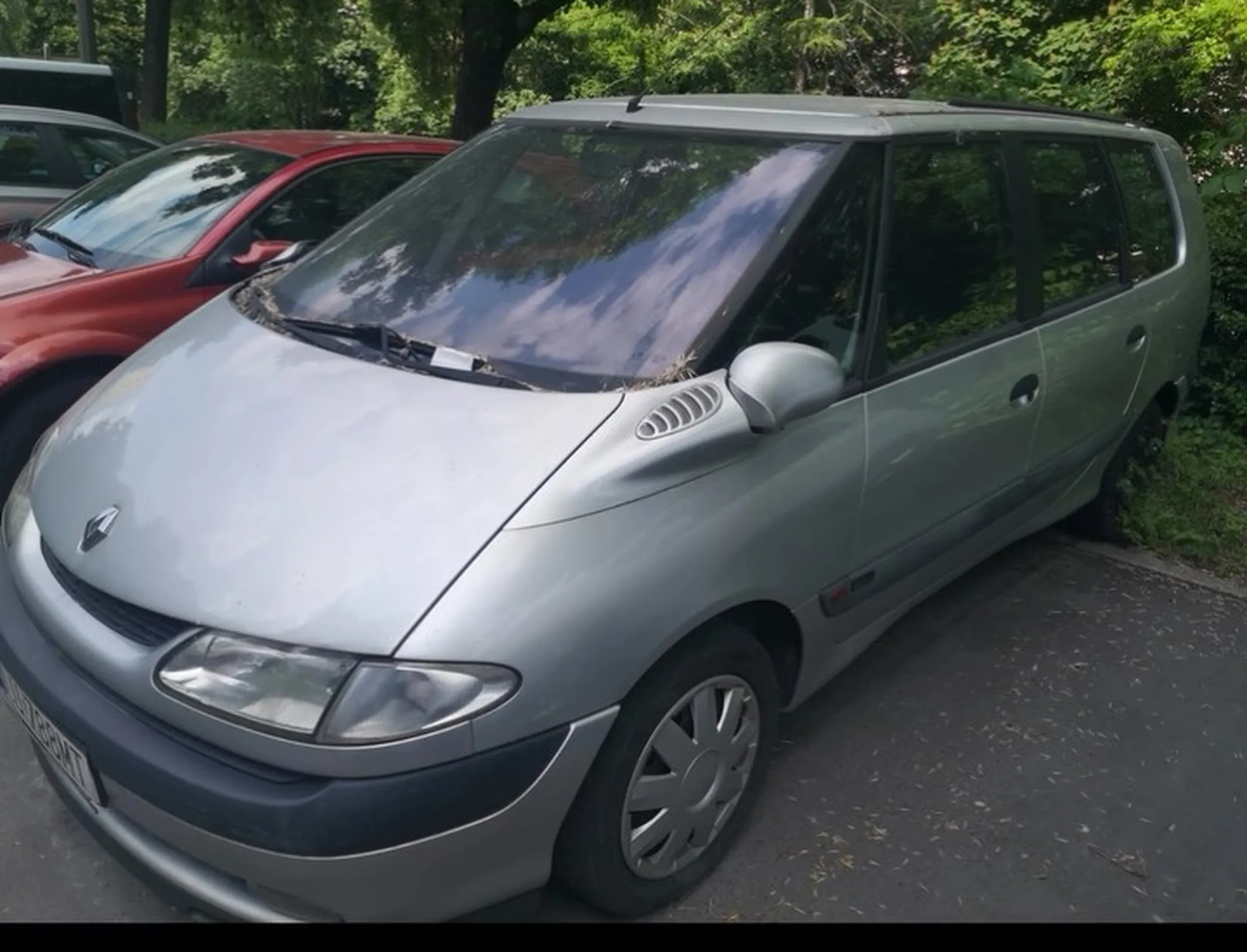 O ten dwa lata z tyłu koło zarosło całkiem na ulicy niepodległości 7 na moim osiedlu w Lublinie