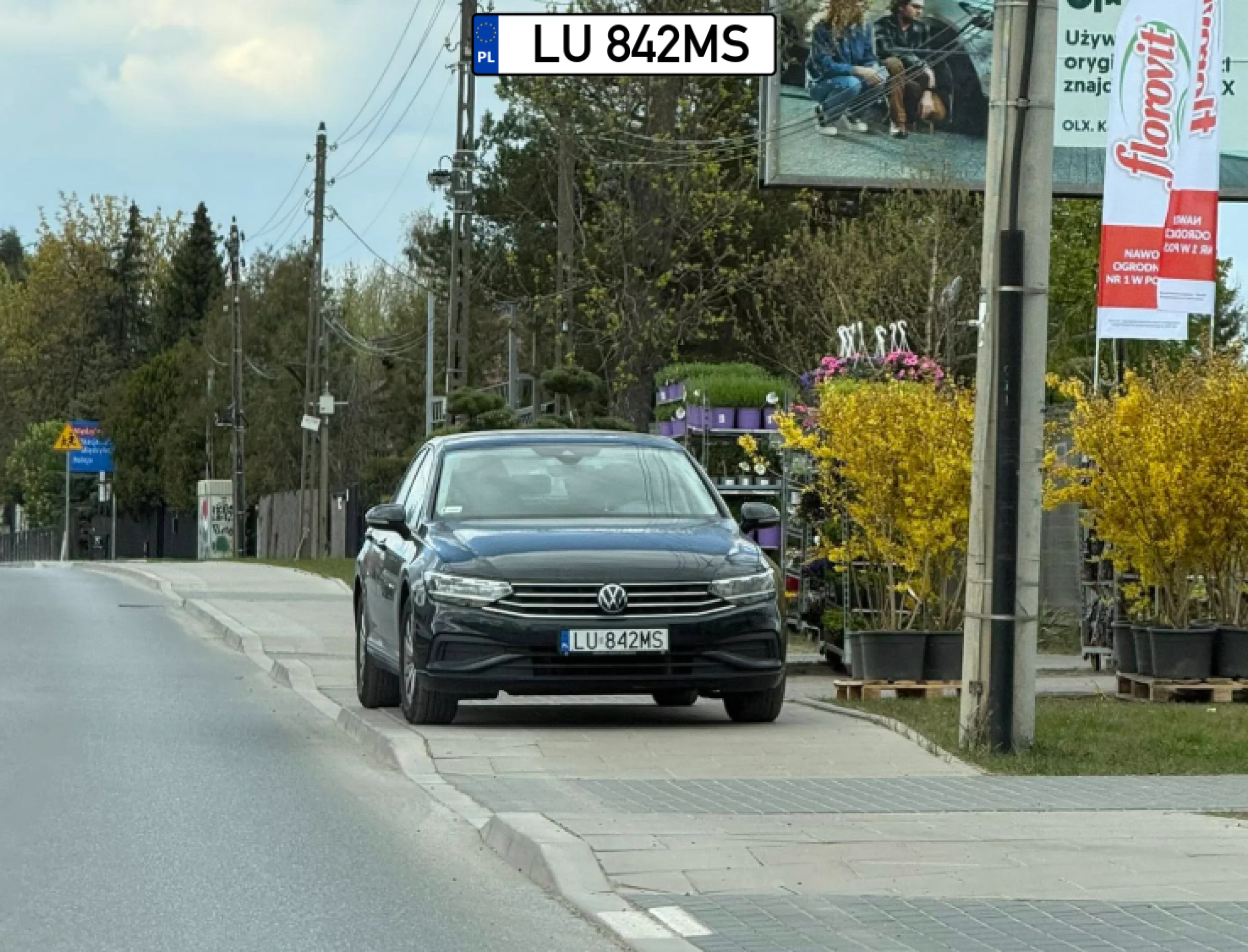 Kwiatki poszedł kupić ... pajac