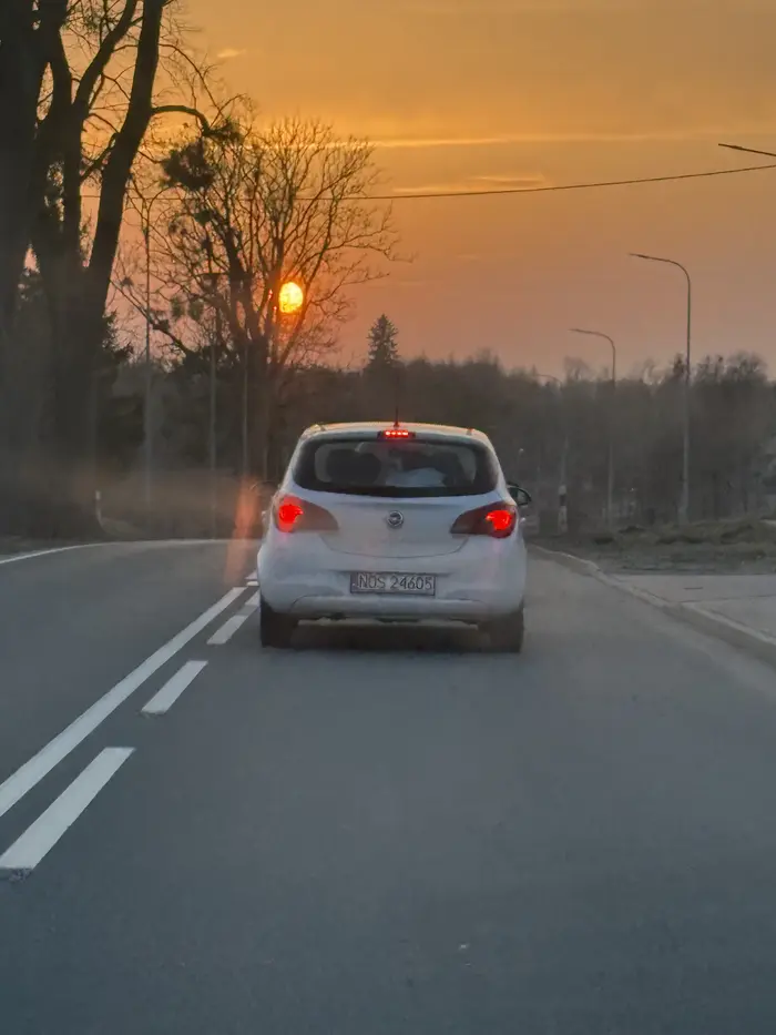 Laska wyprzedza na zakrętach, kolumny samochodów, teren zabudowany podwójna ciągła doprowadzając do sytuacji gdzie trzeba hamować by ją wpuścić, bo wszystkich by pozabijała, realne zagrożenie w ruchu drogowym.