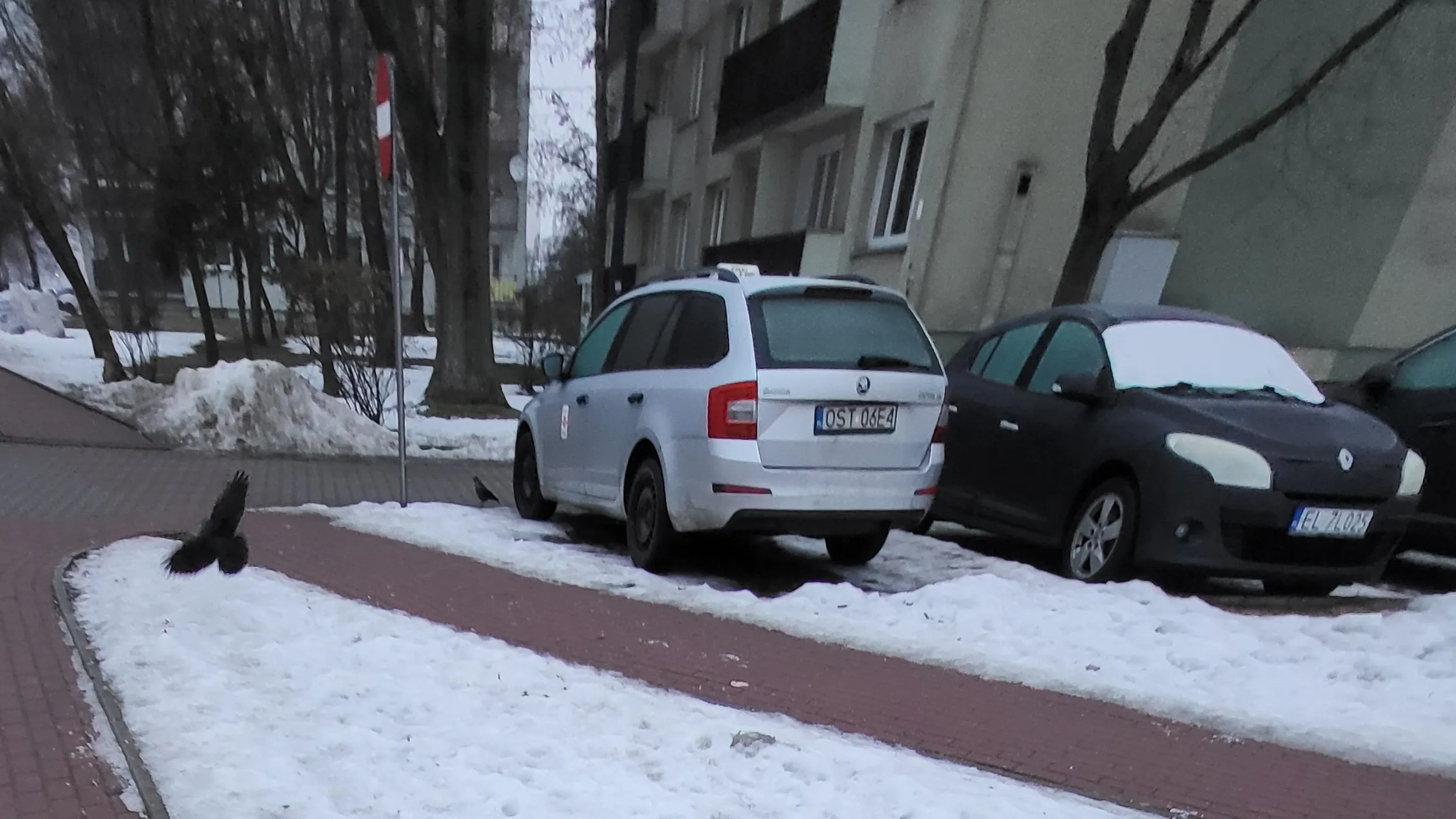 W strefie zamieszkania zatrzymanie pojazdu możliwe jest tylko i wyłącznie na miejscu wyznaczonym, ale nie na miejscu wyznaczonym przez ciebie...