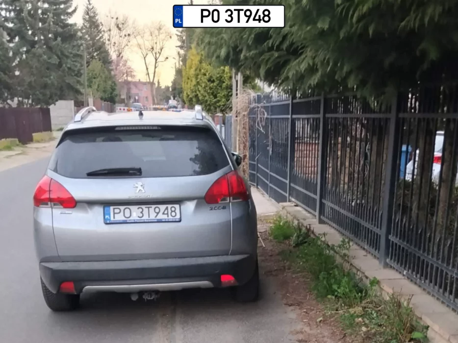 „Stoi oszołom sobie na chodniku,Poznań Wola ul. NIEMENSKA 9 zadowolony ,że pieszych wyrzucił ma ulicę