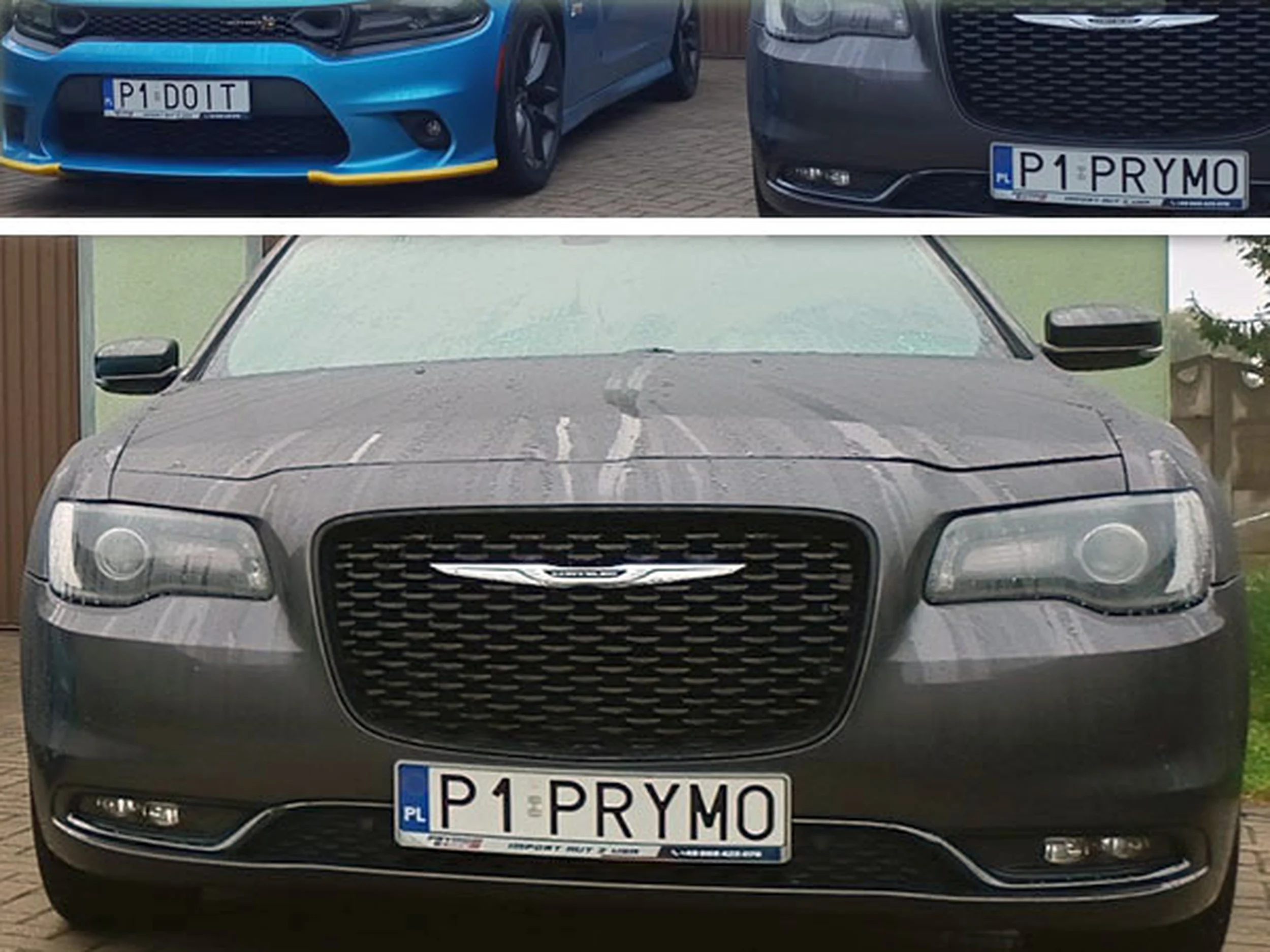 Fajny numer, blacha P1 PRYMO