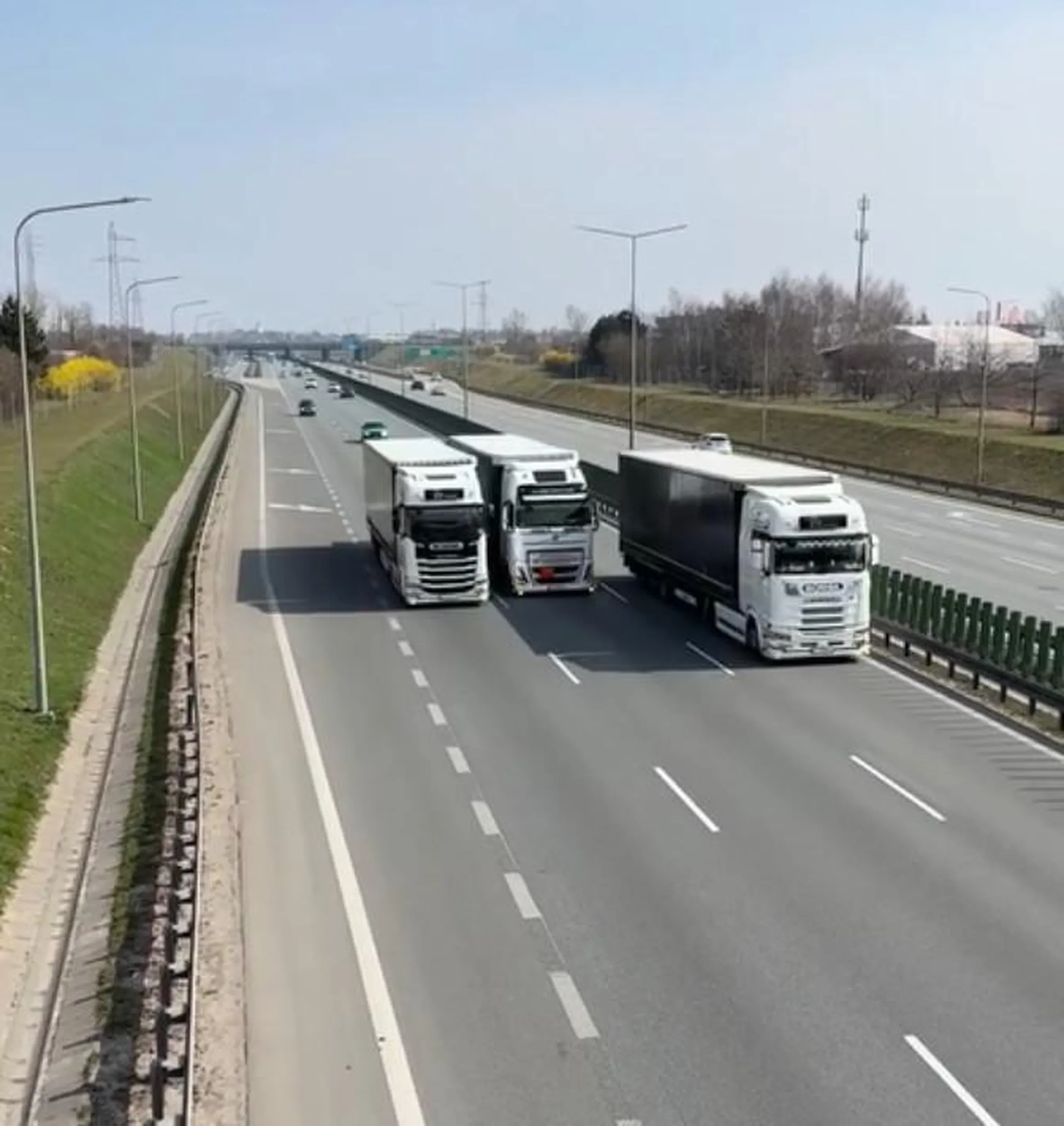 głąby blokują ruch dla zabawy