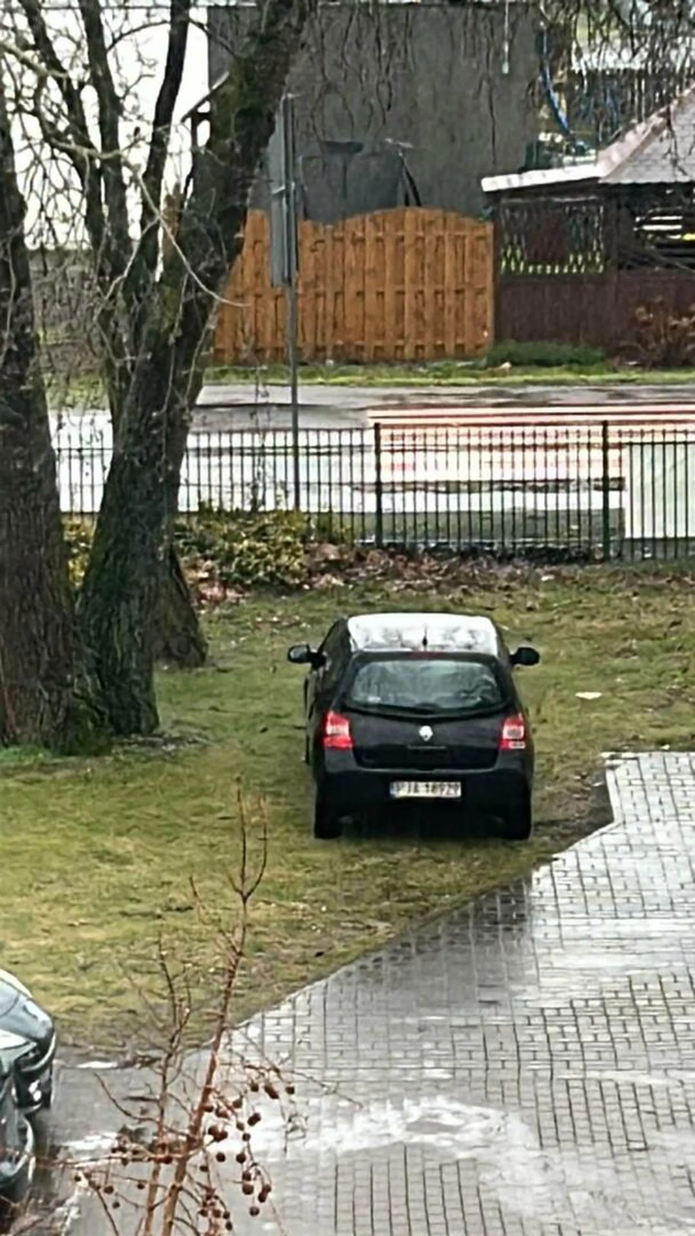 Stoi na trawniku, mimo wolnego miejsca obok