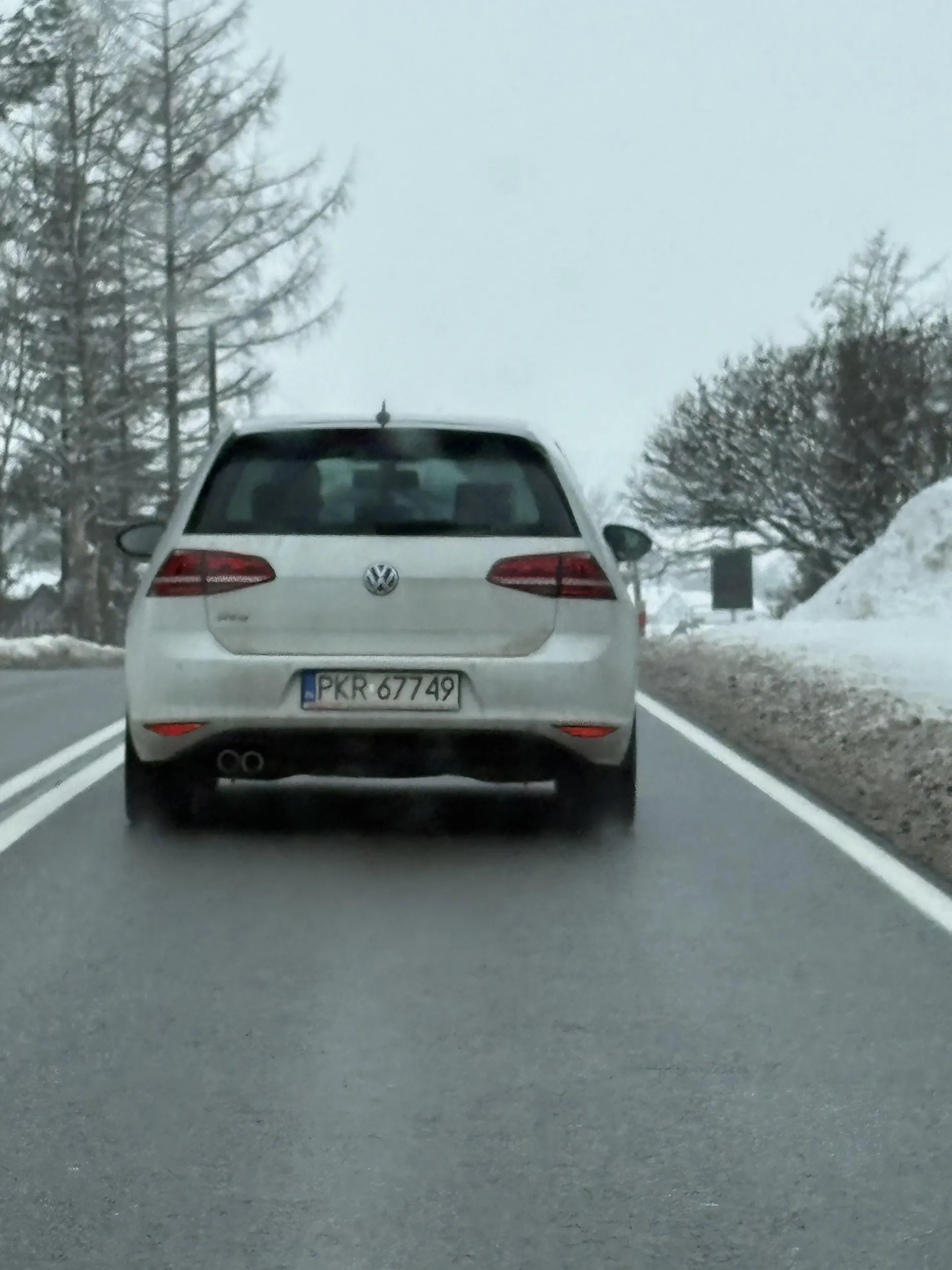 Kudłaty gnojek wyprzedza na czołówki