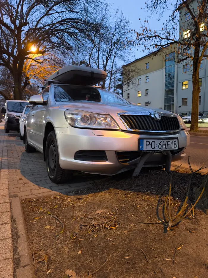 Mistrzu parkowania ?