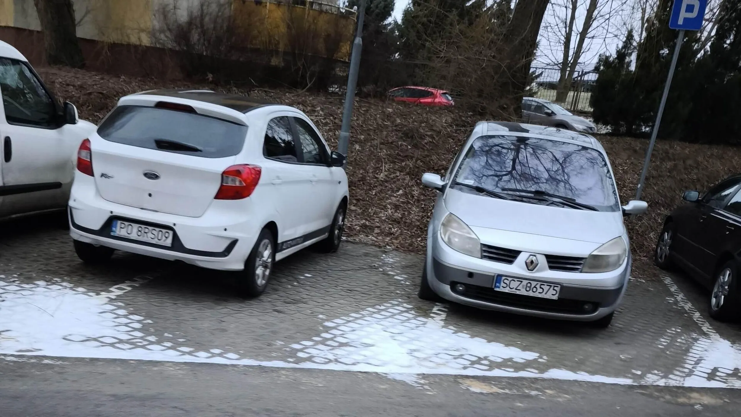 Linie parkingowe sa za trudne do ogarniecia