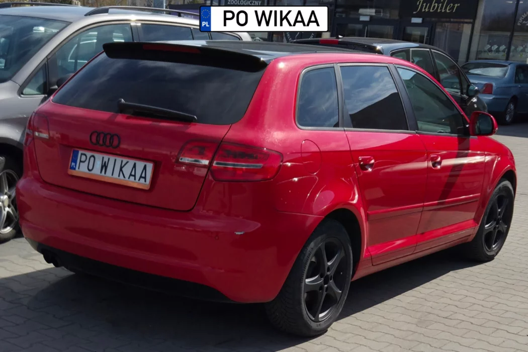 Co autor miał na myśli