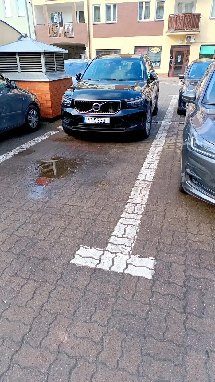 Pani blondynka bez wyobraźni przestrzennej zaparkowała sobie na dwóch stanowiskach w miejscu gdzie i tak już trudno znaleźć miejscy.