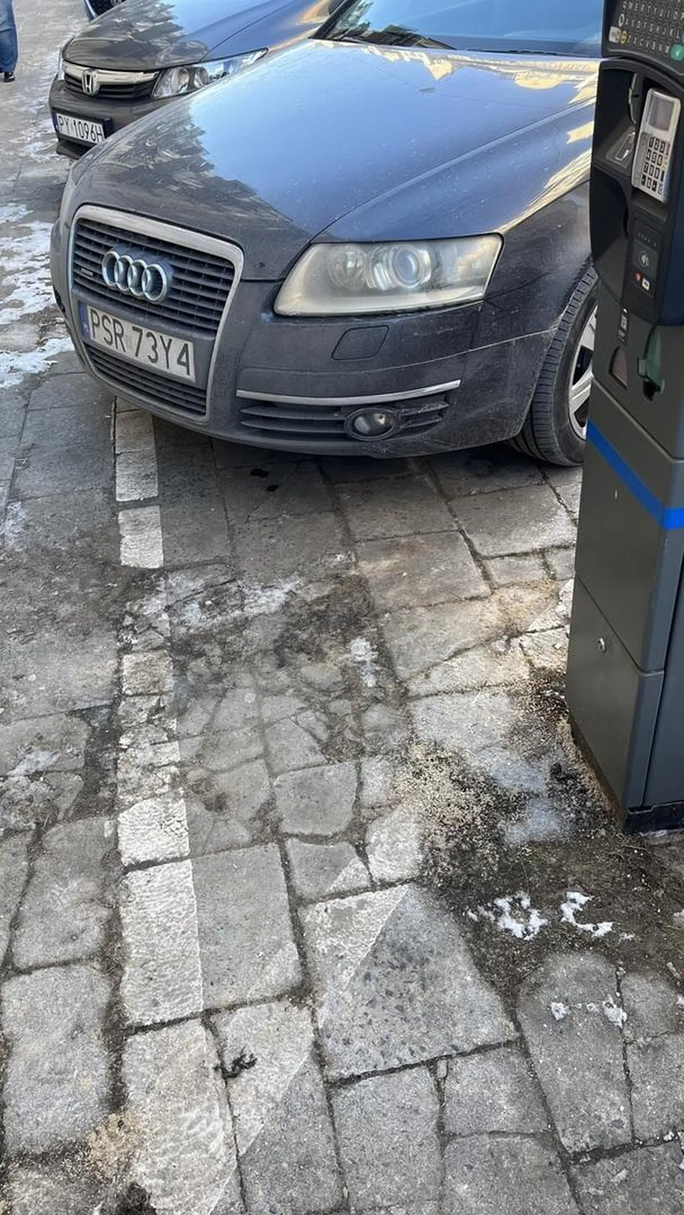 Pedol csenofob ebanyj