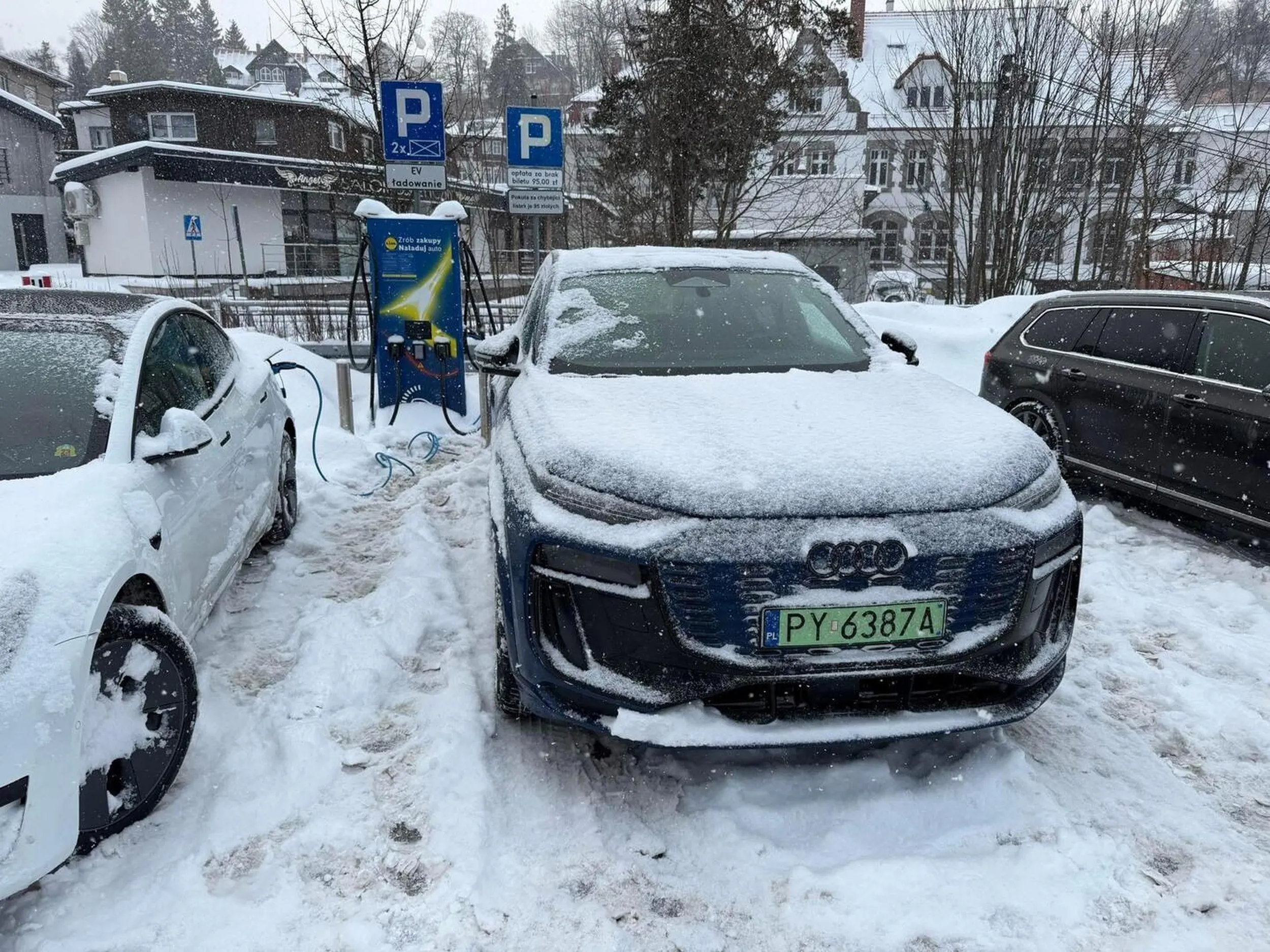 Kolejny co stoi na miejscu do ładowania i się nie ładuje i traktuję to jak parking dla siebie. To nie bus pas tylko miejsce NA CZAS ŁADOWANIA. Cztery zera a piąte niewiadomo gdzie bo szkoda ale nie było go za kierownicą… buraczek w Audi