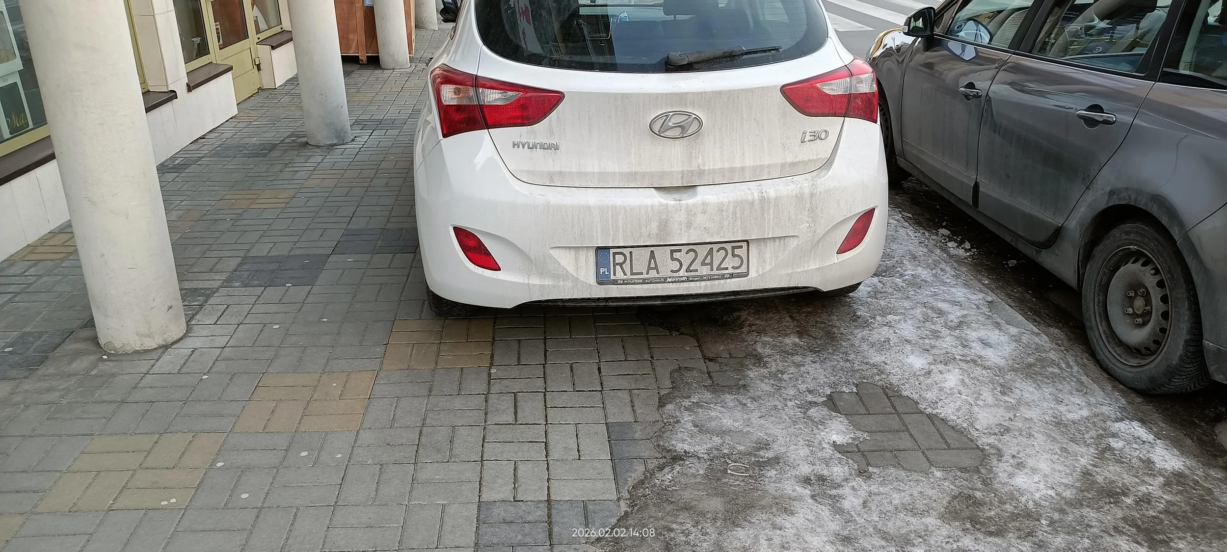 Święta krowa chodnikowa