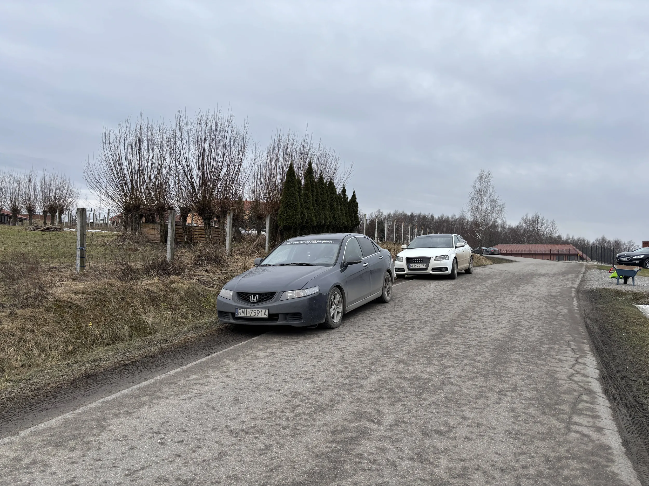 Tribal na oknie jest, ale wyobraźni przy blokowaniu ruchu drogowego niestety nie.