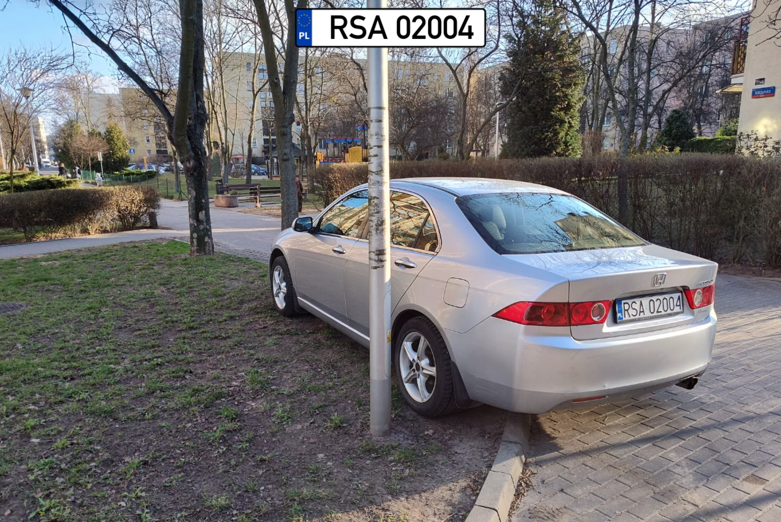 Pojechał by dalej gdyby nie te drzewa przed nim.