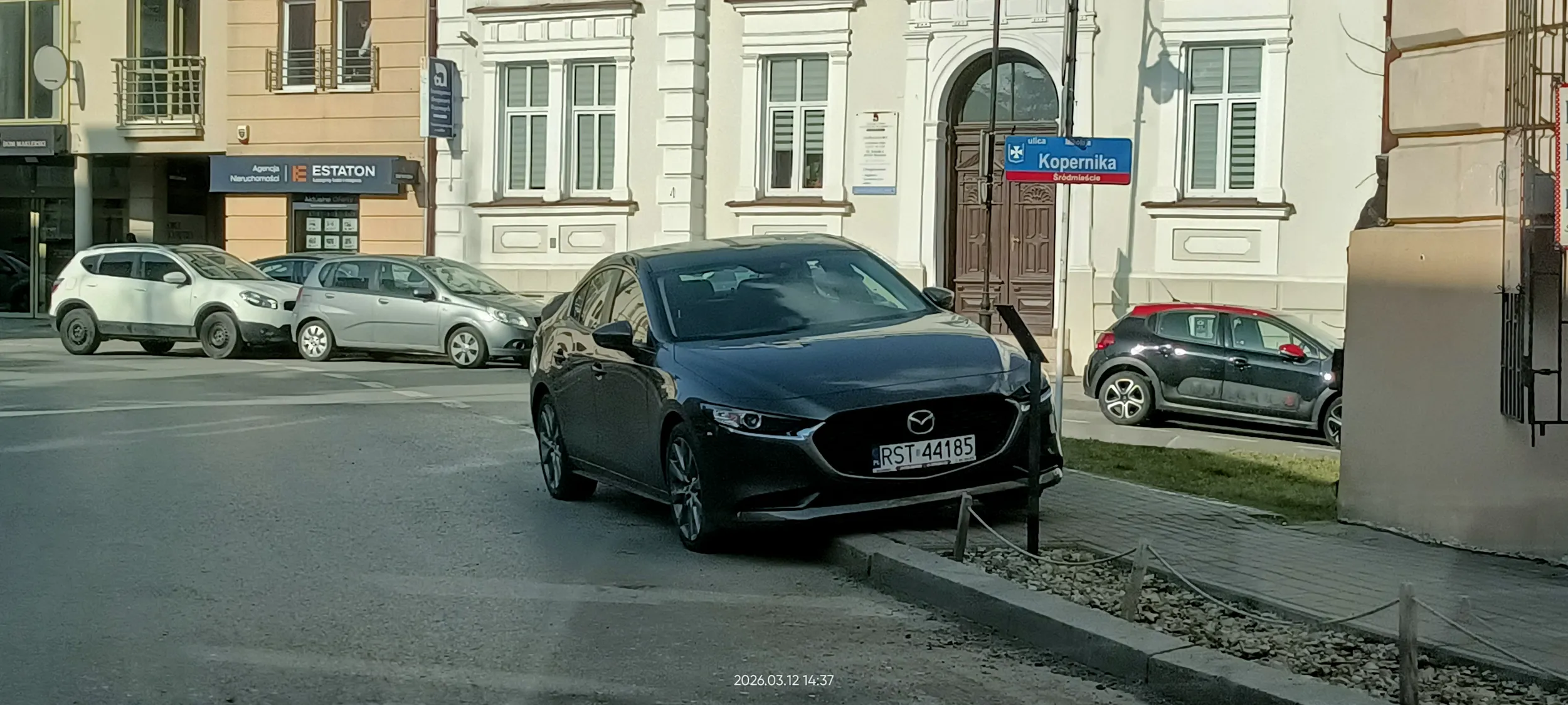 Święta krowa chodnikowa.