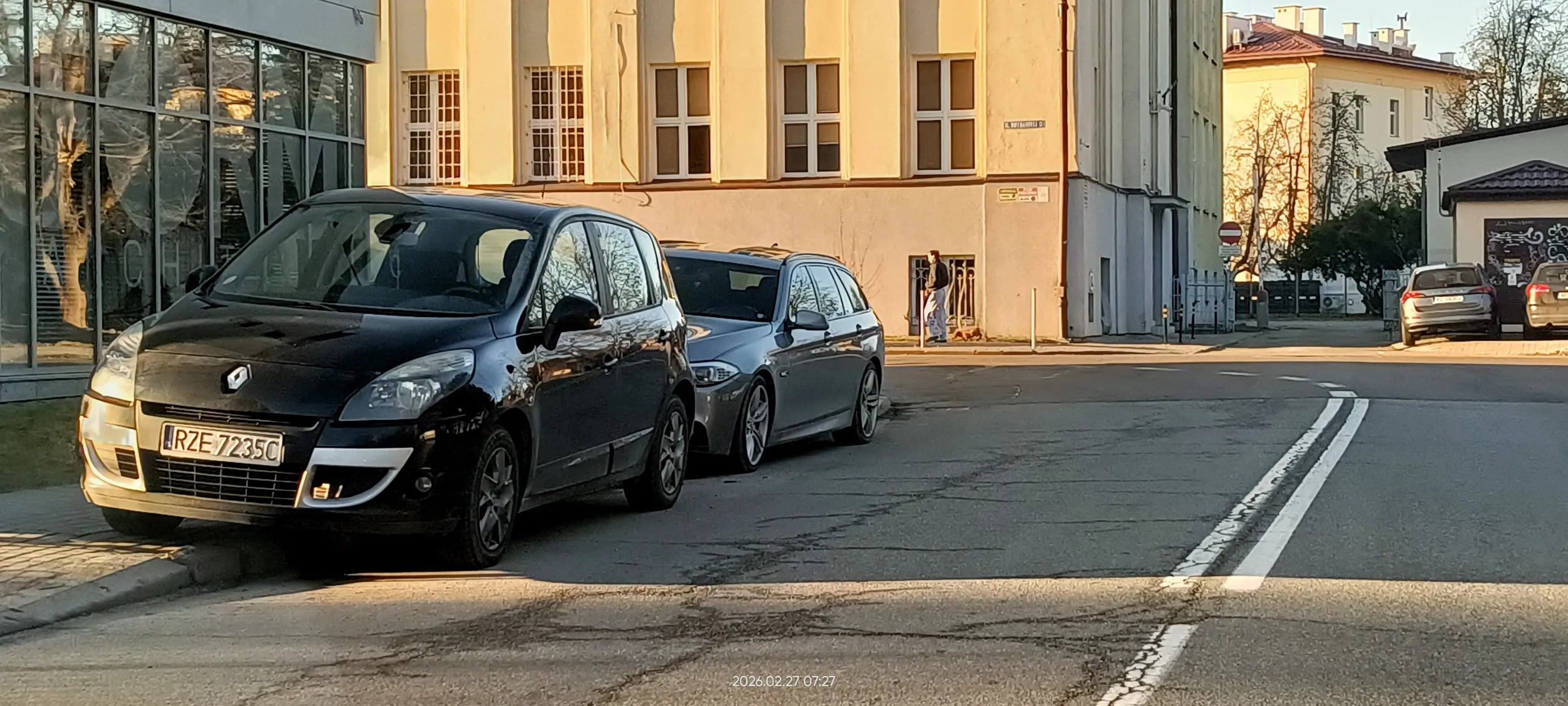 Święta krowa chodnikowa.