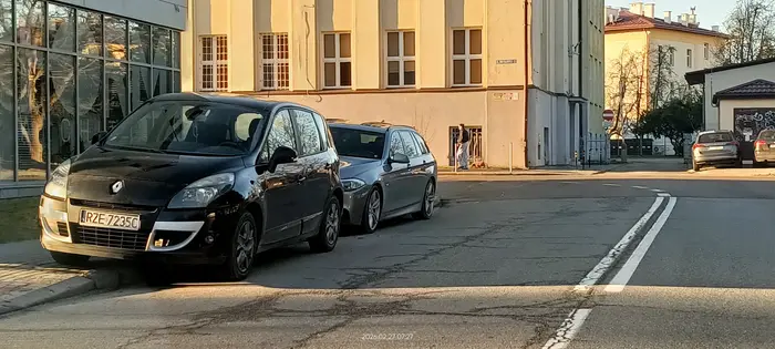 Święta krowa chodnikowa.