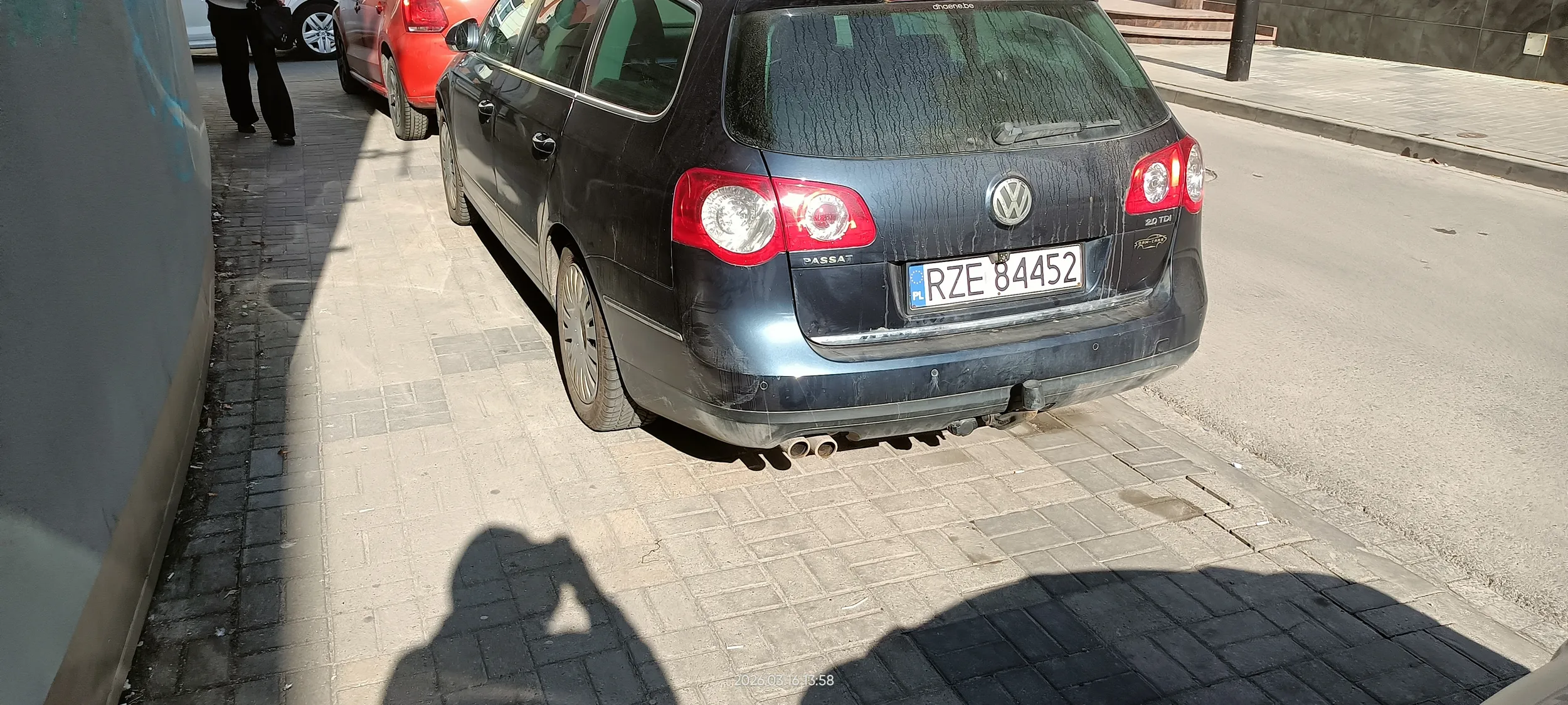 Święta krowa chodnikowa.