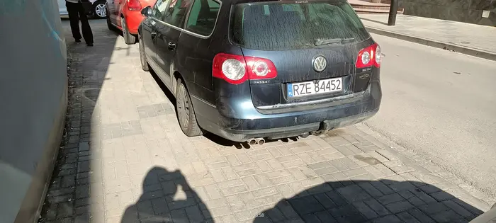 Święta krowa chodnikowa.