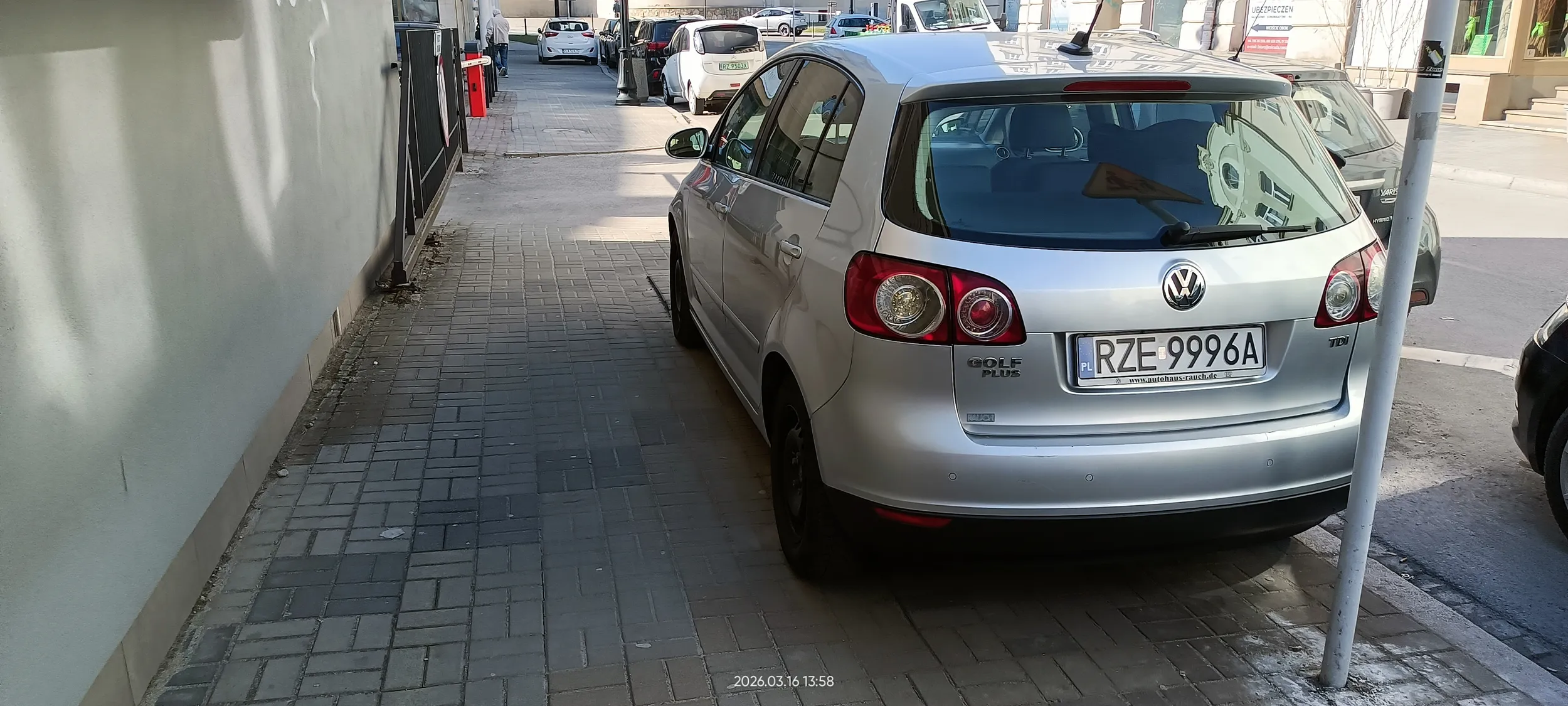 Święta krowa chodnikowa.