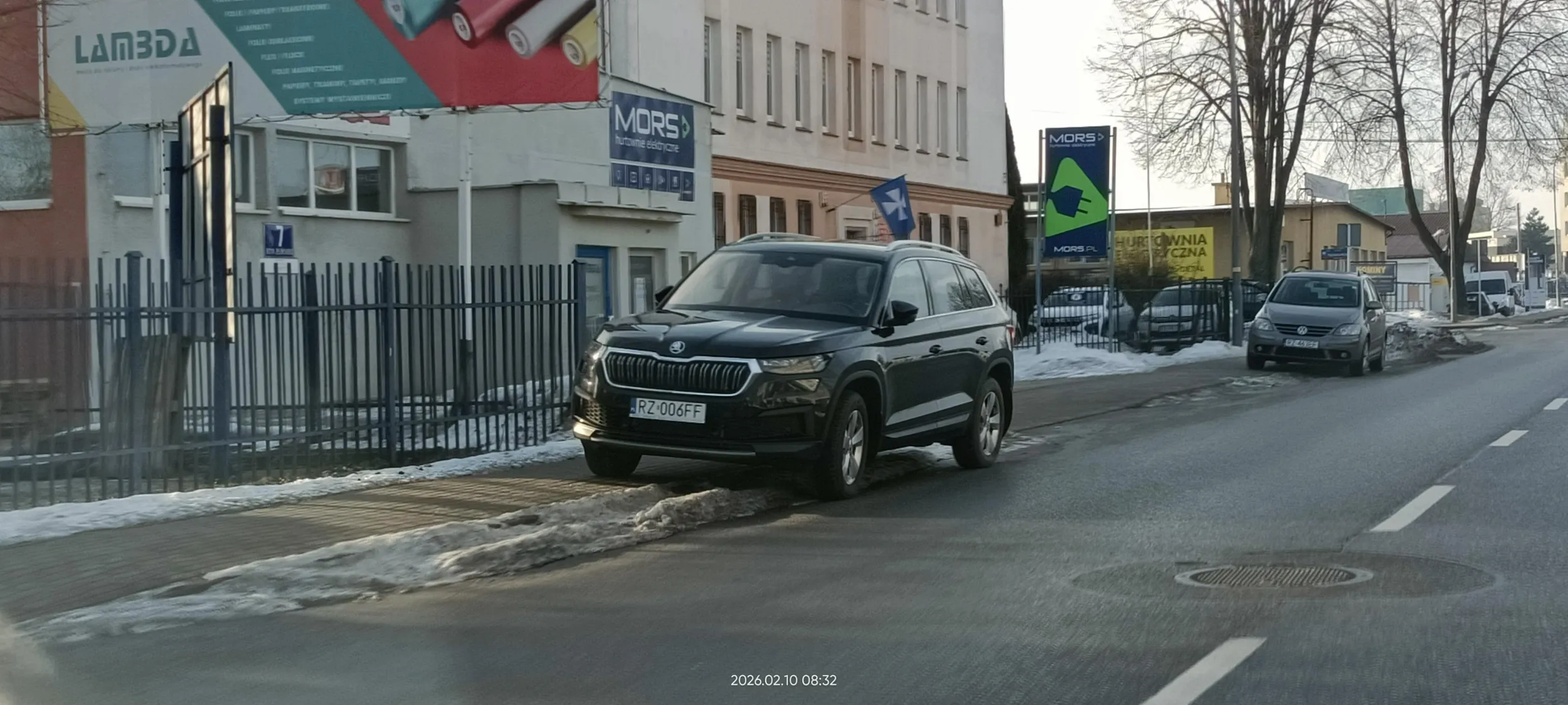 Święta krowa ? chodnikowa