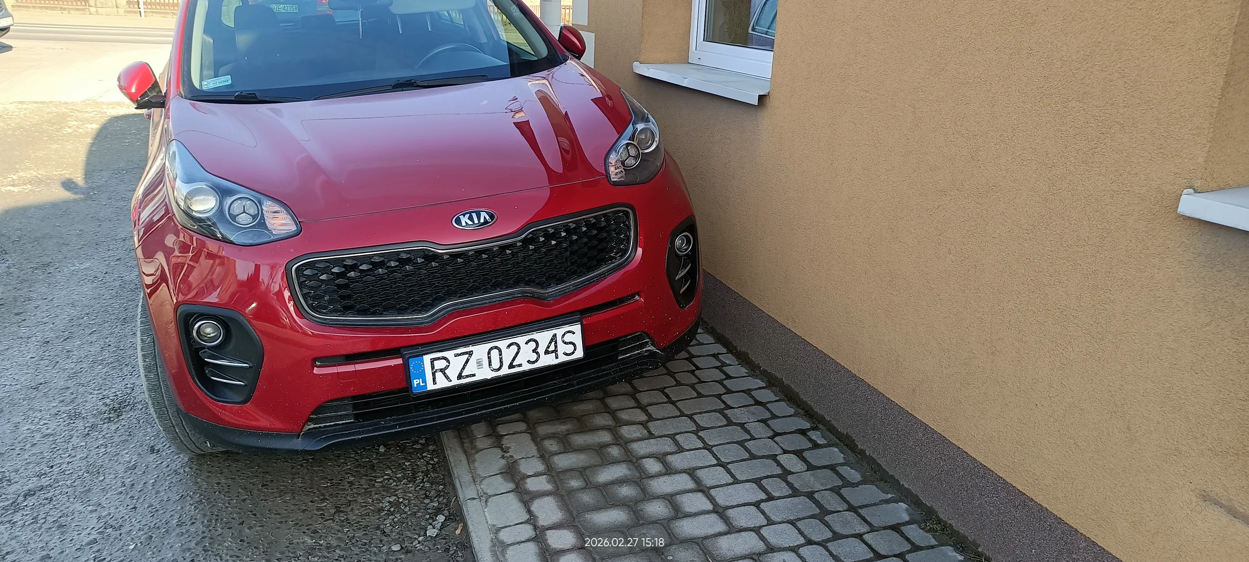 Święta krowa chodnikowa.