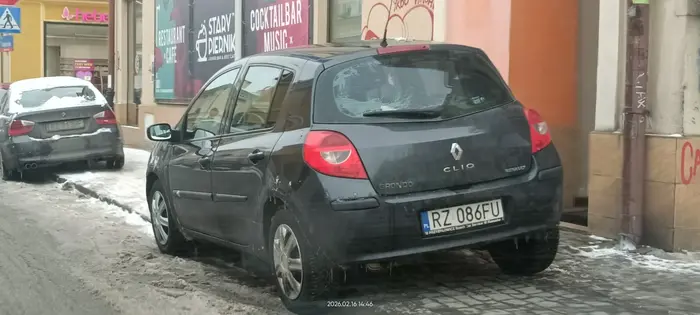 Święta krowa ? chodnikowa