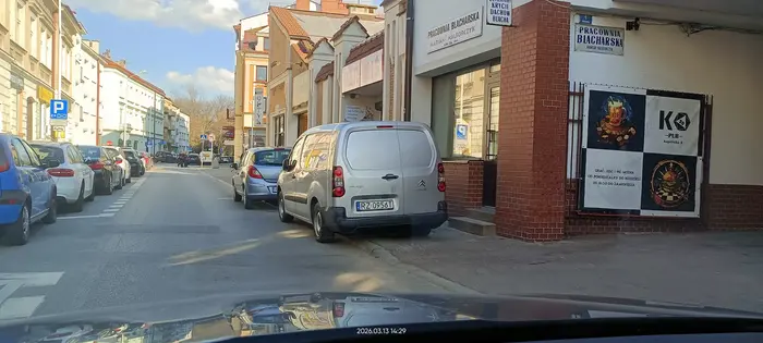 Święta krowa chodnikowa.