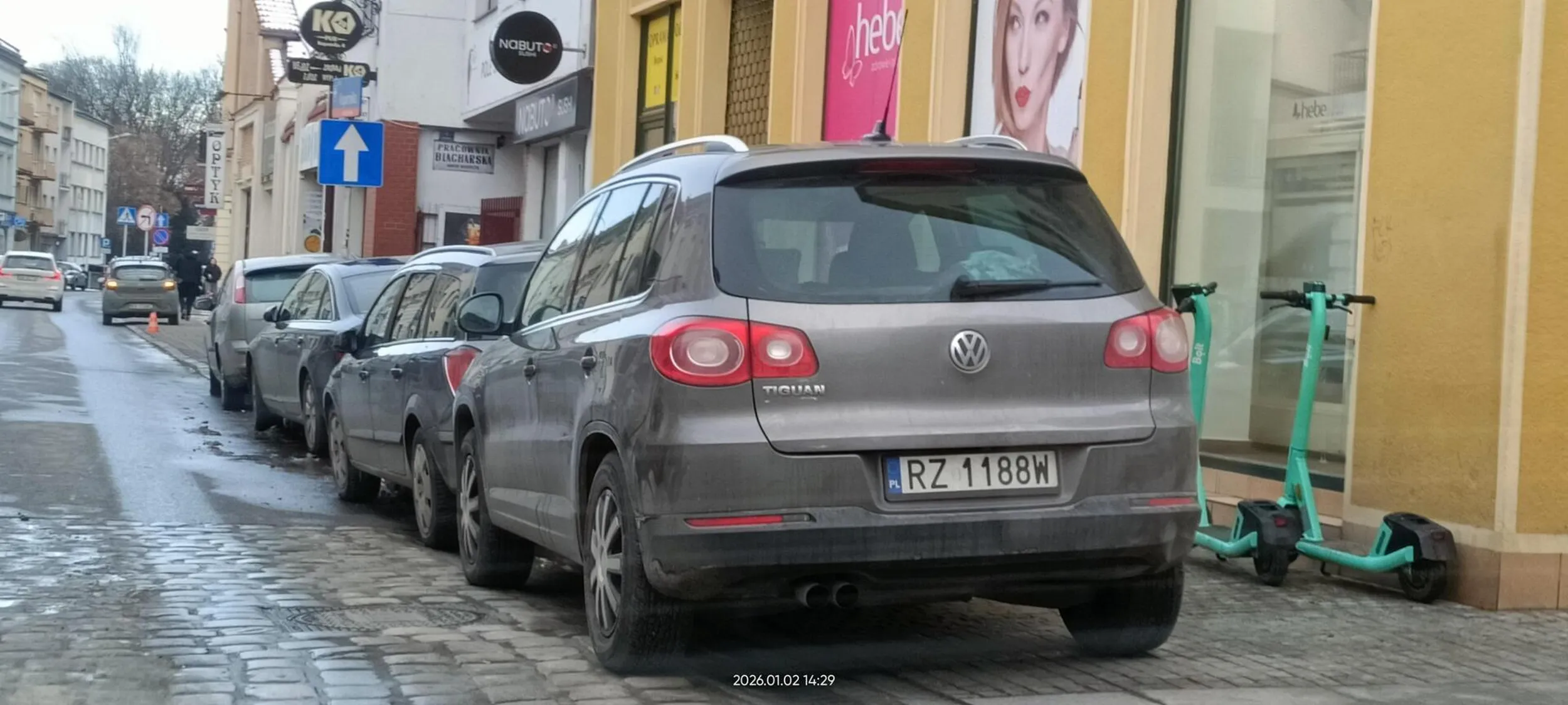 Święta krowa chodnikowa