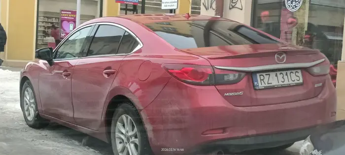 Święta krowa chodnikowa