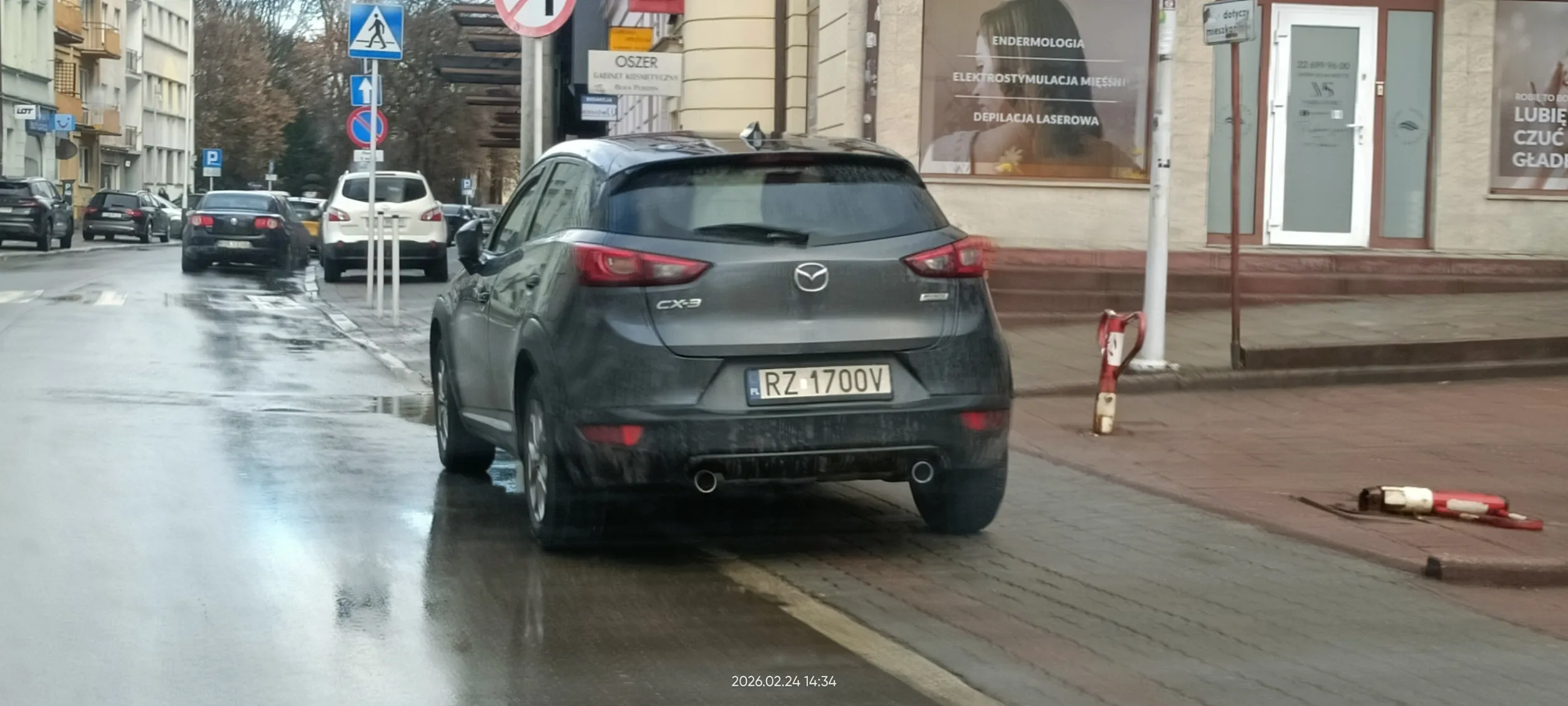 Święta krowa chodnikowa.