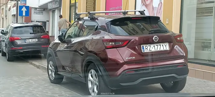 Święta krowa chodnikowa.