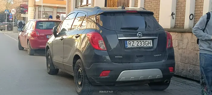 Święta krowa chodnikowa