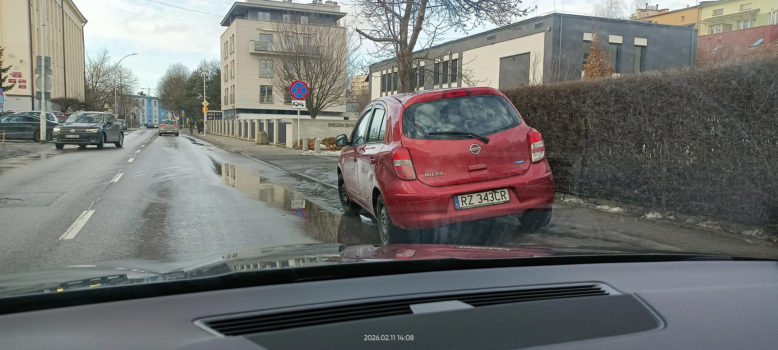 Święta krowa ? chodnikowa