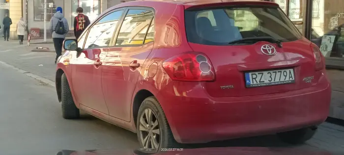 Święta krowa chodnikowa