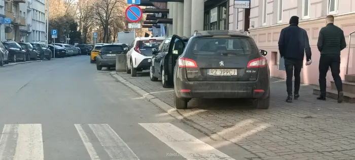 Święta krowa chodnikowa