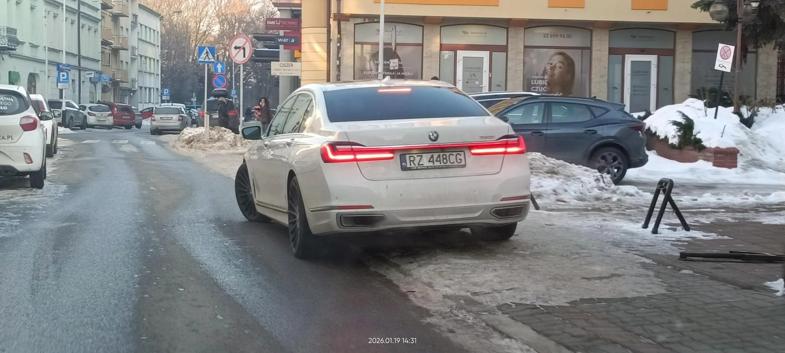 Święta krowa chodnikowa