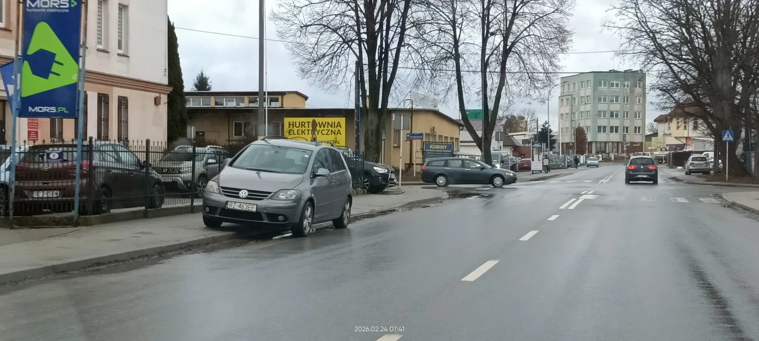 Święta krowa chodnikowa.