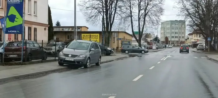 Święta krowa chodnikowa.