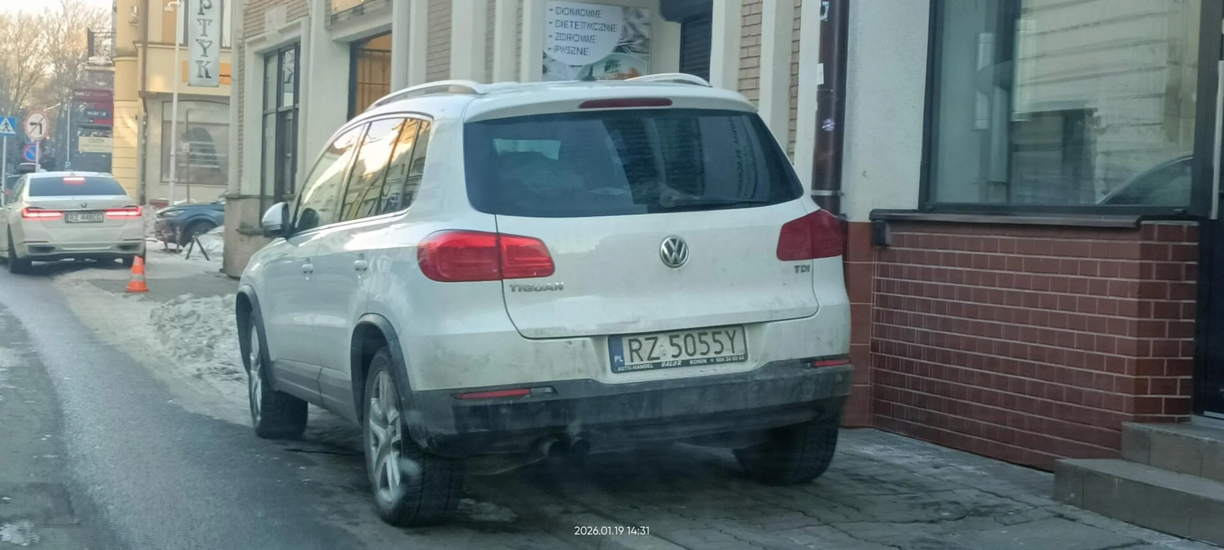 Święta krowa chodnikowa