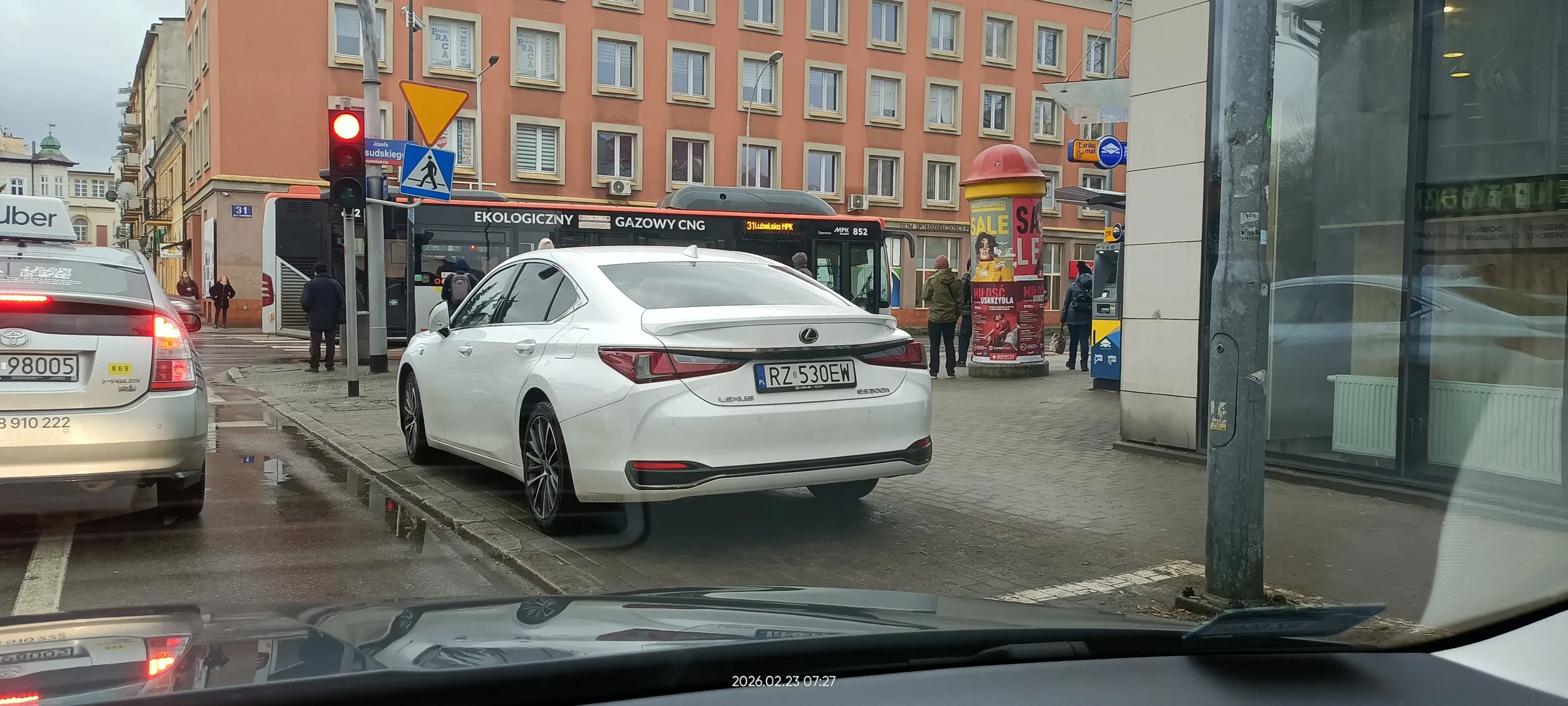 Święta krowa chodnikowa bezpośrednio przed przejściem dla pieszych i skrzyżowaniem.
