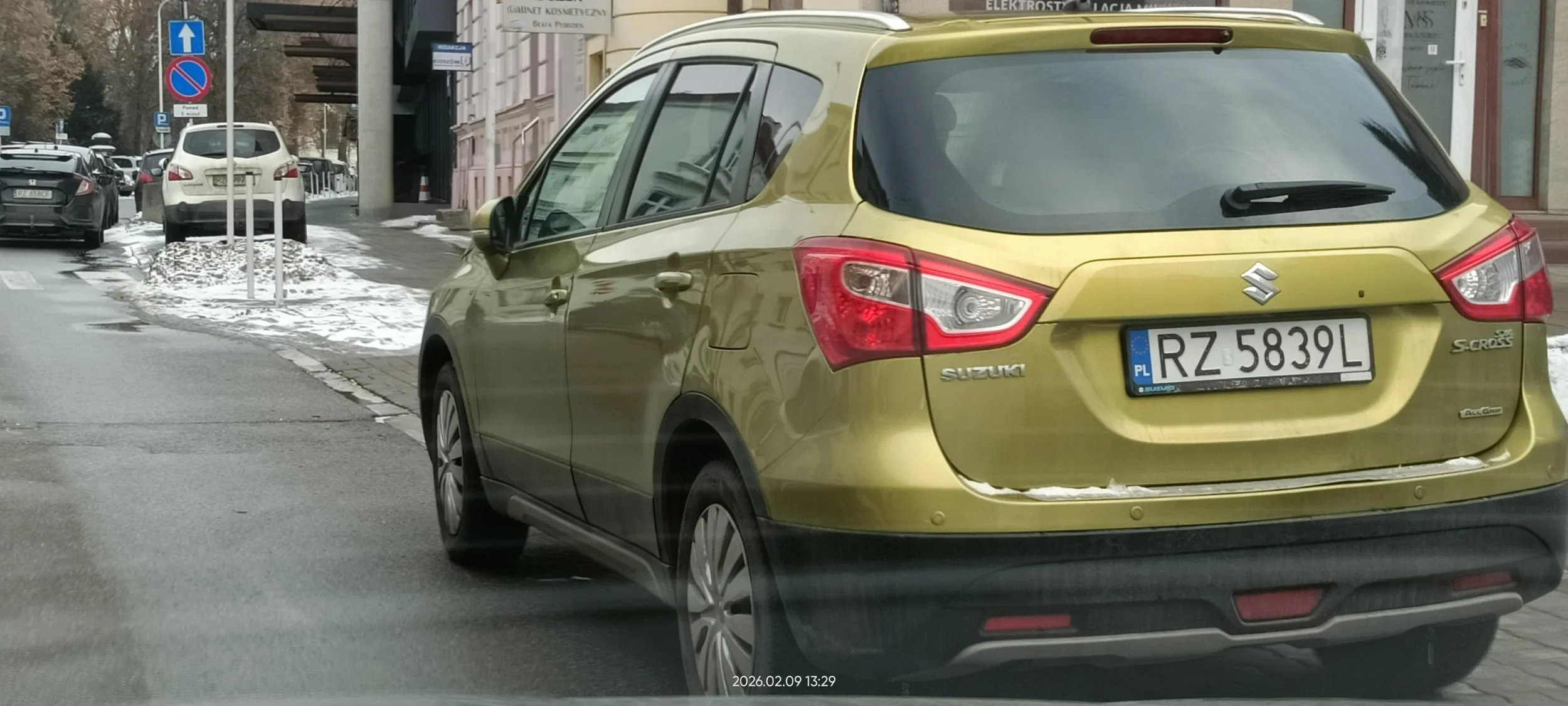 Święta krowa ? chodnikowa