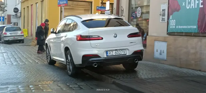 Święta krowa ? chodnikowa