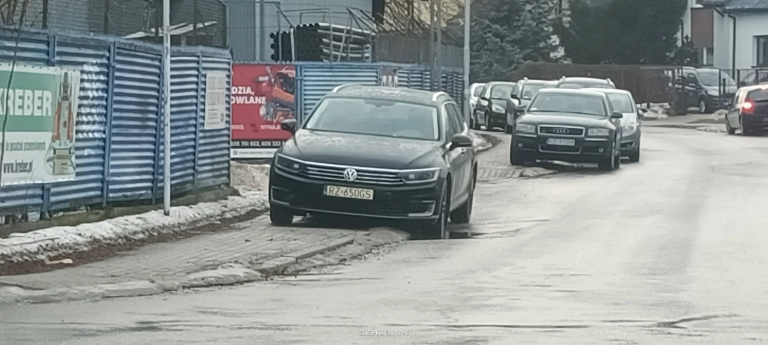 Święta krowa ? chodnikowa