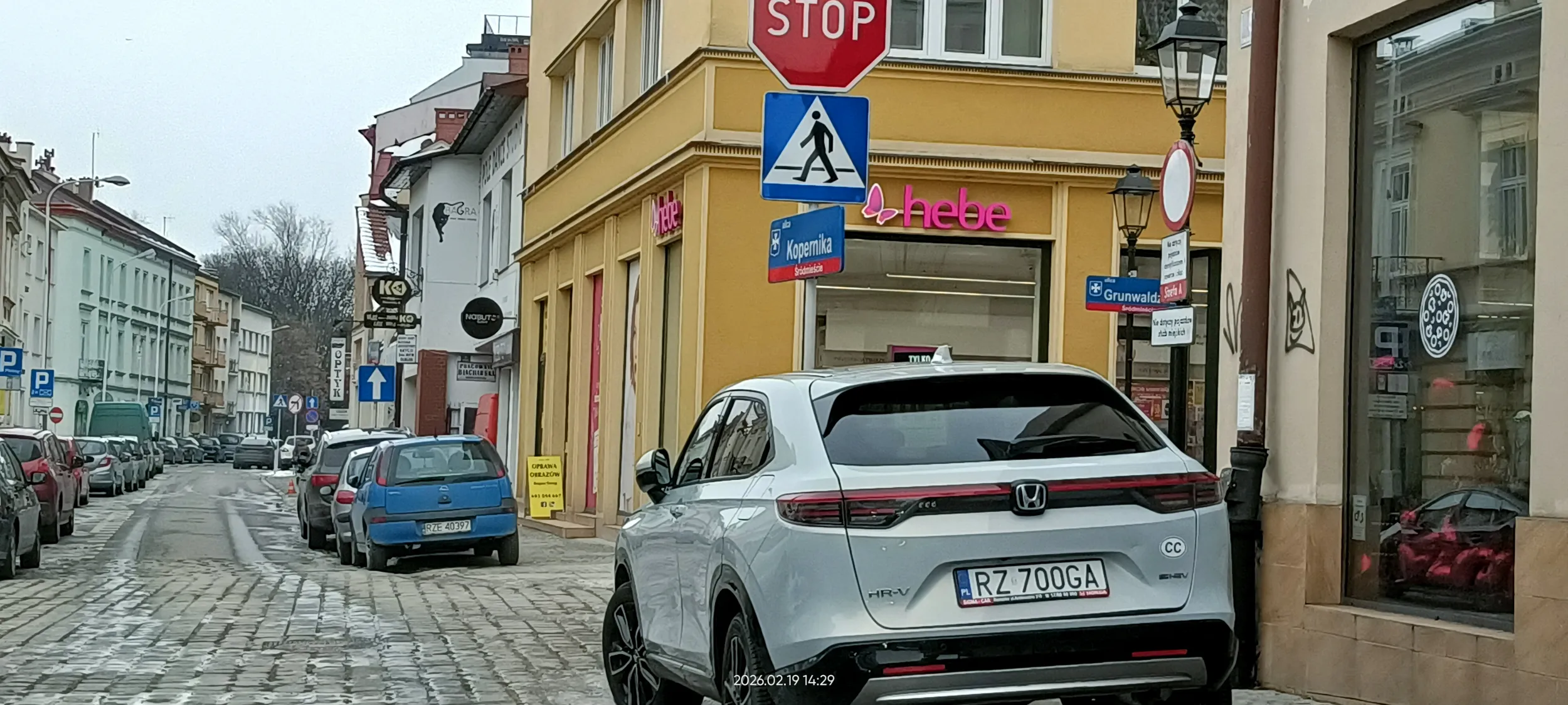 Święta krowa chodnikowa. Bezpośrednio przed przejściem dla pieszych.