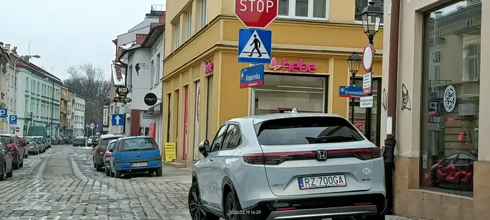 Święta krowa chodnikowa. Bezpośrednio przed przejściem dla pieszych.