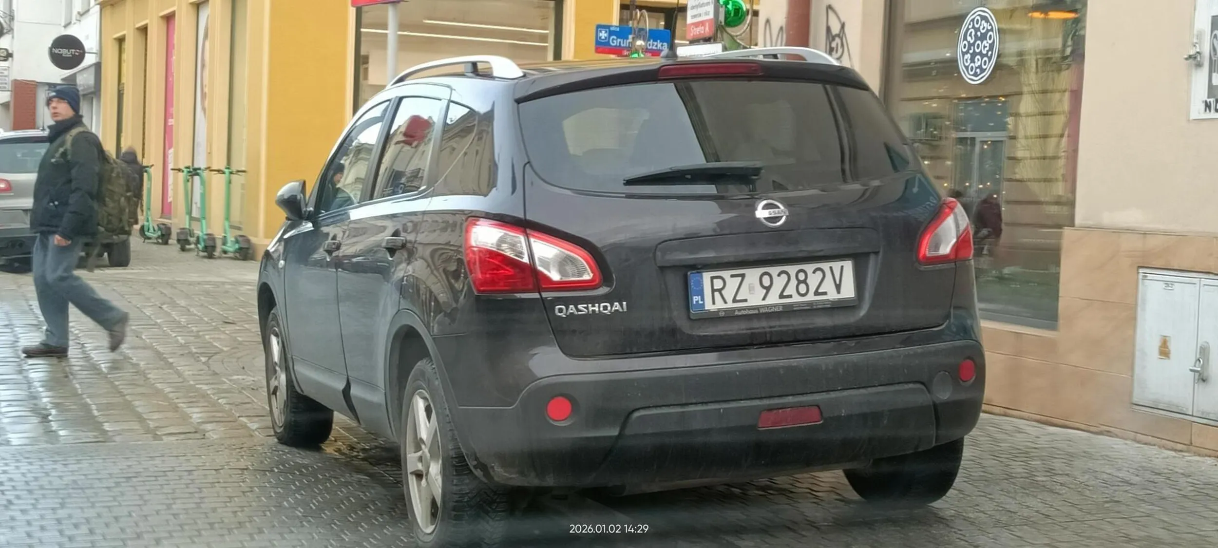 Święta krowa chodnikowa